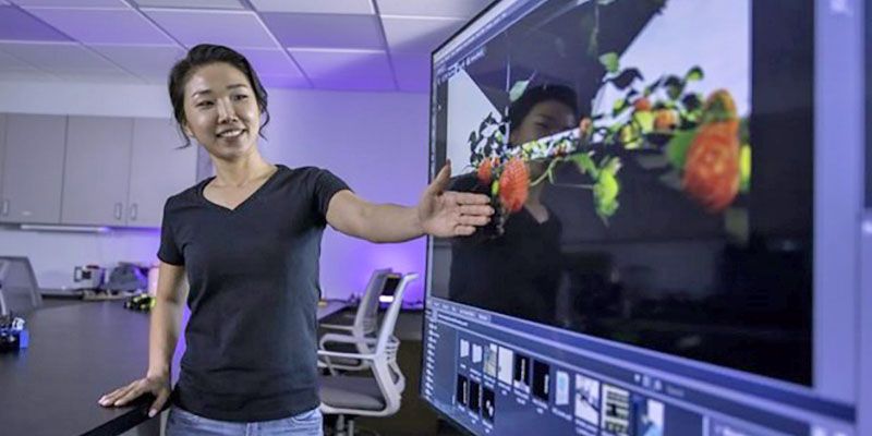 UF Digital Twin technology simulates strawberry farm to boost AI tools and cuts costs