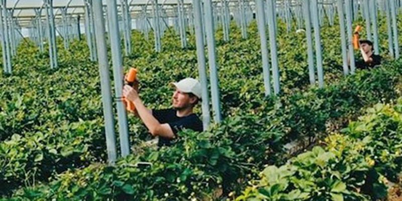 Using AI to drive natural defenses and deliver value to growers