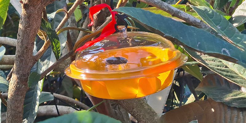 New material platform unlocks the potential of natural pest control agents